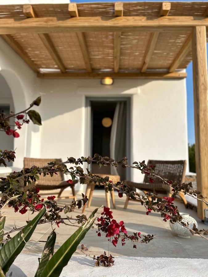 Villa Vaya Agia Anna  Extérieur photo