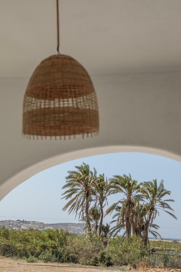 Villa Vaya Agia Anna  Extérieur photo