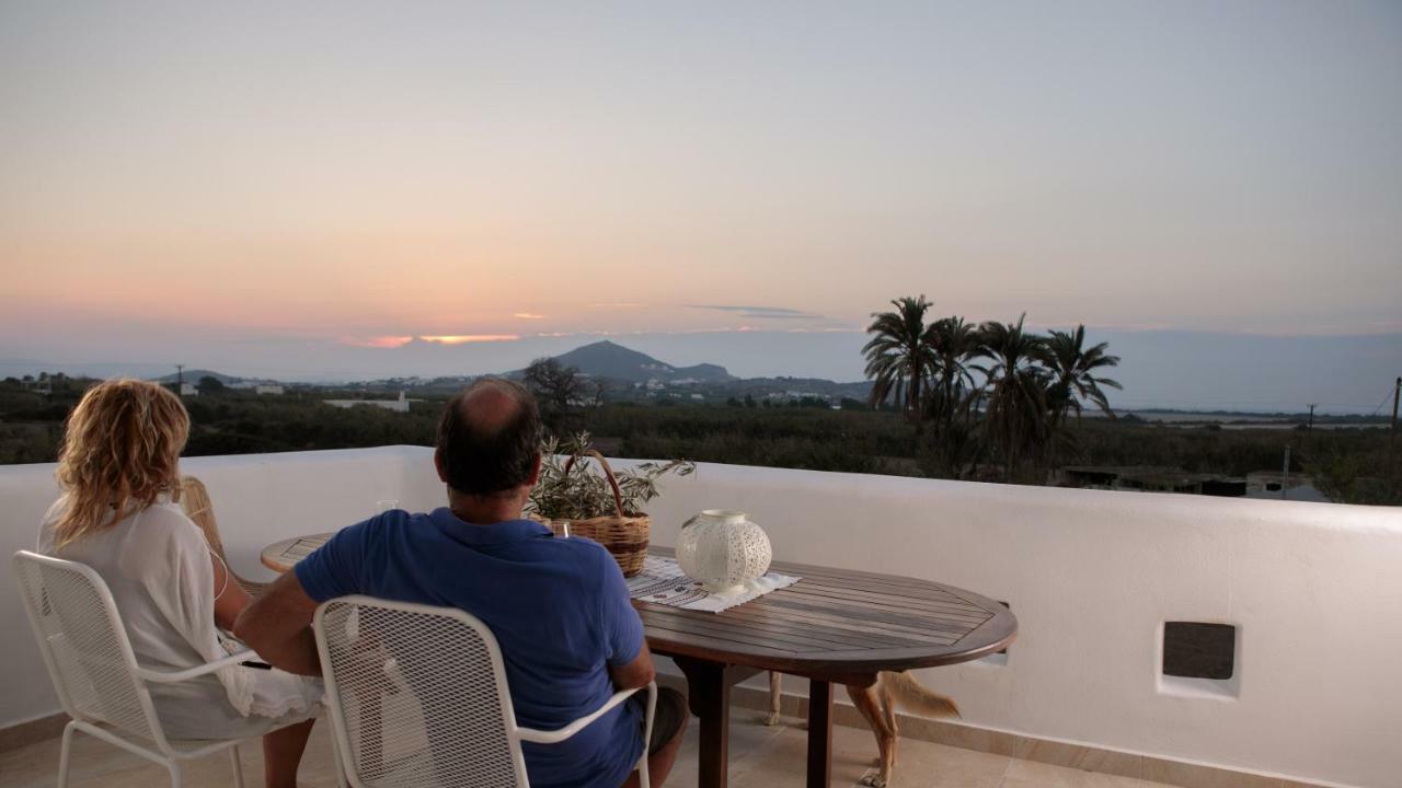 Villa Vaya Agia Anna  Extérieur photo